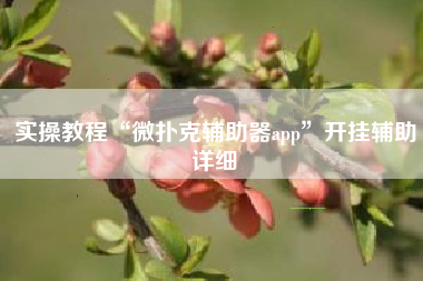 实操教程“微扑克辅助器app”开挂辅助详细