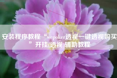 安装程序教程“wepoker透视一键透视购买”开挂(透视)辅助教程