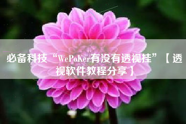 必备科技“WePoKer有没有透视挂	”【透视软件教程分享】