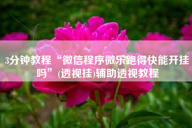 3分钟教程“微信程序微乐跑得快能开挂吗”(透视挂)辅助透视教程