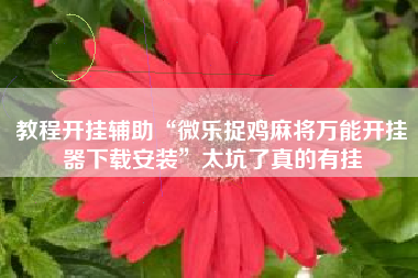 教程开挂辅助“微乐捉鸡麻将万能开挂器下载安装”太坑了真的有挂