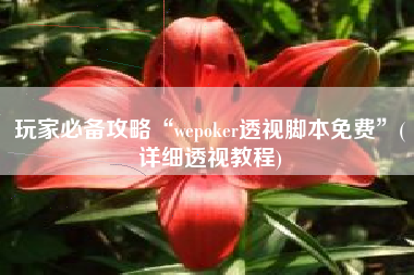 玩家必备攻略“wepoker透视脚本免费”(详细透视教程)