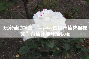 玩家辅助神器:“wepoker透视开挂教程视频	”有挂详细开挂教程