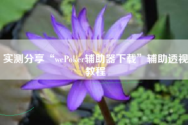实测分享“wePoker辅助器下载”辅助透视教程