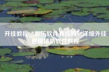 开挂教程“微乐软件有挂吗”详细外挂透视辅助软件教程