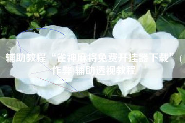 辅助教程“雀神麻将免费开挂器下载”(作弊)辅助透视教程