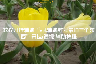 教程开挂辅助“wpk辅助封号最怕三个东西”开挂(透视)辅助教程
