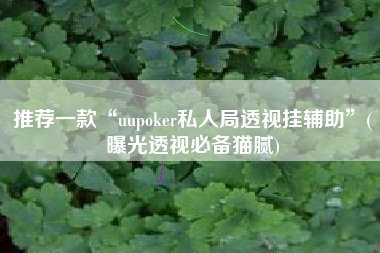 推荐一款“uupoker私人局透视挂辅助	”(曝光透视必备猫腻)