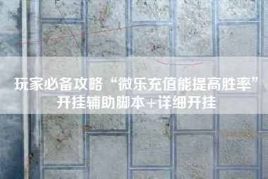 玩家必备攻略“微乐充值能提高胜率”开挂辅助脚本+详细开挂