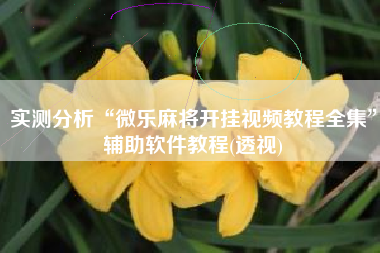 实测分析“微乐麻将开挂视频教程全集”辅助软件教程(透视)