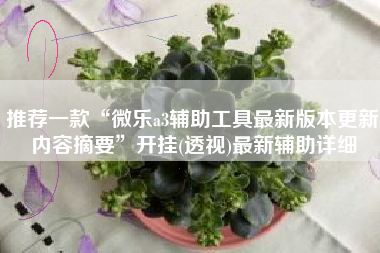 推荐一款“微乐a3辅助工具最新版本更新内容摘要	”开挂(透视)最新辅助详细