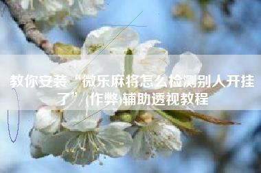 教你安装“微乐麻将怎么检测别人开挂了”(作弊)辅助透视教程