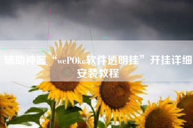 辅助神器“wePOke软件透明挂”开挂详细安装教程