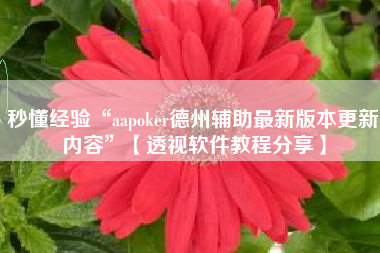 秒懂经验“aapoker德州辅助最新版本更新内容”【透视软件教程分享】