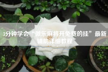 3分钟学会“微乐麻将开免费的挂”最新辅助详细教程