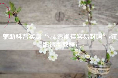辅助科普实测“wpk透视挂容易封吗”(详细透视教程)
