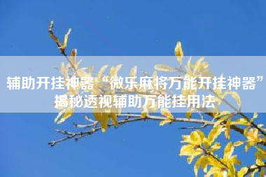 辅助开挂神器“微乐麻将万能开挂神器	”揭秘透视辅助万能挂用法