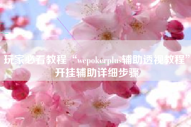 玩家必看教程“wepokerplus辅助透视教程”开挂辅助详细步骤