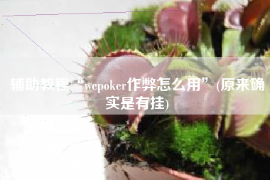 辅助教程“wepoker作弊怎么用”(原来确实是有挂)