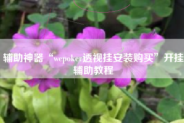 辅助神器“wepoker透视挂安装购买”开挂辅助教程