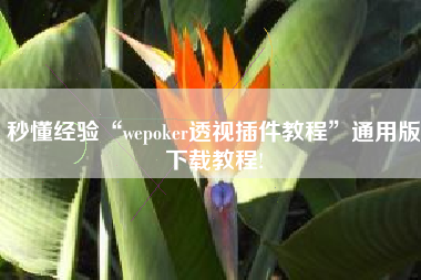 秒懂经验“wepoker透视插件教程”通用版下载教程!
