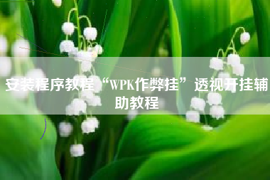 安装程序教程“WPK作弊挂”透视开挂辅助教程