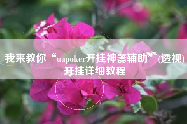 我来教你“uupoker开挂神器辅助	”(透视)开挂详细教程