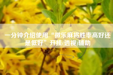 一分钟介绍使用“微乐麻将胜率高好还是低好”开挂(透视)辅助