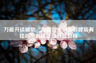 万能开挂辅助“微信微乐刨幺自建房有挂吗	”有挂详细开挂教程