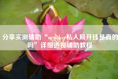 分享实测辅助“wepoker私人局开挂是真的吗”详细透视辅助教程