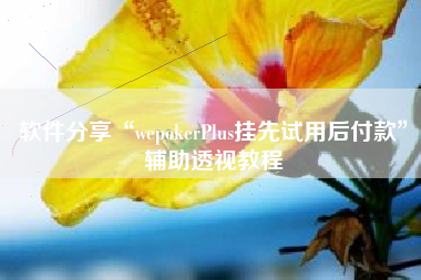 软件分享“wepokerPlus挂先试用后付款	”辅助透视教程