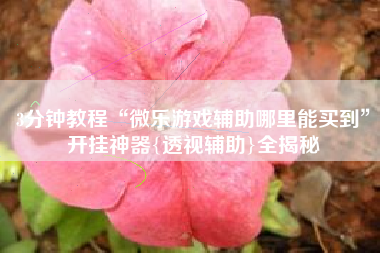 3分钟教程“微乐游戏辅助哪里能买到”开挂神器{透视辅助}全揭秘