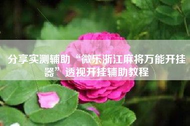 分享实测辅助“微乐浙江麻将万能开挂器	”透视开挂辅助教程