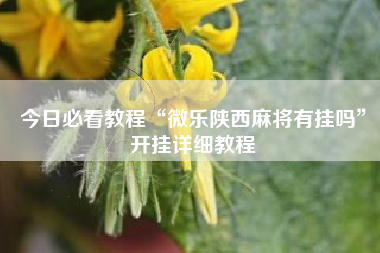 今日必看教程“微乐陕西麻将有挂吗	”开挂详细教程