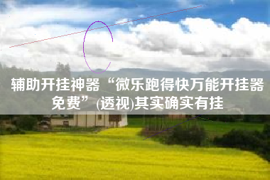 辅助开挂神器“微乐跑得快万能开挂器免费	”(透视)其实确实有挂