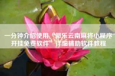 一分钟介绍使用“微乐云南麻将小程序开挂免费软件”详细辅助软件教程