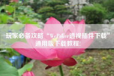 玩家必备攻略“WePoker透视插件下载	”通用版下载教程!