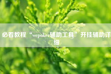 必看教程“wepoker辅助工具”开挂辅助详细