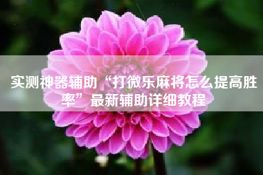 实测神器辅助“打微乐麻将怎么提高胜率”最新辅助详细教程