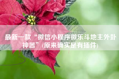 最新一款“微信小程序微乐斗地主外卦神器”(原来确实是有插件)