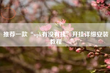 推荐一款“wpk有没有挂”开挂详细安装教程