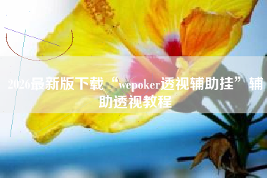 2026最新版下载“wepoker透视辅助挂”辅助透视教程