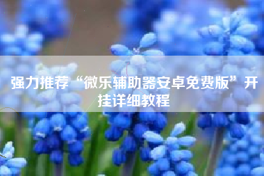 强力推荐“微乐辅助器安卓免费版”开挂详细教程