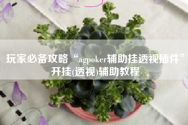 玩家必备攻略“agpoker辅助挂透视插件”开挂(透视)辅助教程