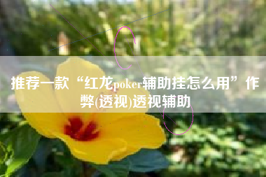 推荐一款“红龙poker辅助挂怎么用	”作弊(透视)透视辅助