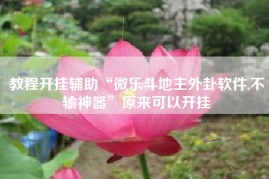 教程开挂辅助“微乐斗地主外卦软件,不输神器”原来可以开挂