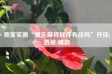 独家实测“微乐麻将软件有挂吗”开挂(透视)辅助