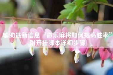 辅助最新信息“微乐麻将如何提高胜率	”附开挂脚本详细步骤