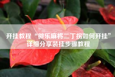 开挂教程“微乐麻将二丁拐如何开挂”详细分享装挂步骤教程