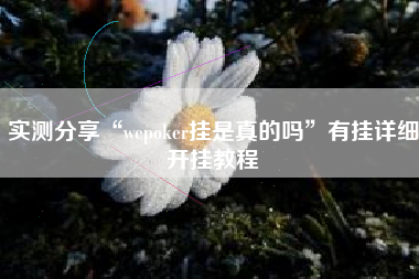 实测分享“wepoker挂是真的吗”有挂详细开挂教程